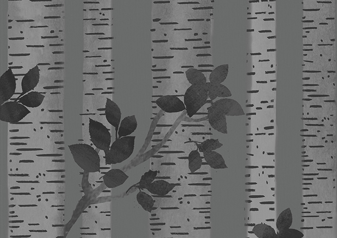 Birch Tree Velvet, Monochrome - Motorised Roman Blind - Image 7